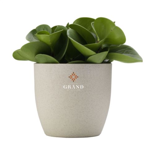 Vibers flowerpot pot de fleurs personnalisé - Made in Europe